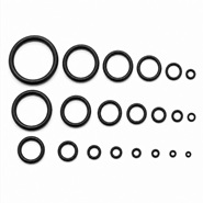 O-Rings